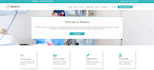 build a custom website for you