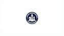design realistic chess grand master logo