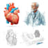 create professional medical, anatomy, textbook illustrations