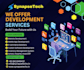 develop professional fullstack web applications