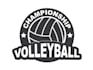 do a professional modern volleyball logo