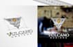 design a professional 3d silver metallic badge logo