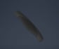 do 3d modeling and rendering