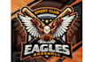design awesome eagles logo design