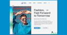 create a professional custom made wordpress website