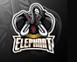 do unique elephant mascot logo design