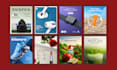 design high converting instgram and facebook ads