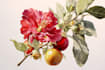do fabulous botanical illustration