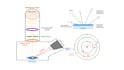 draw graphical abstract and scientific illustration