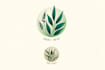 design a unique botanical boho logo