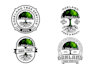 do modern tree logo design