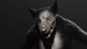 create aaa 3d creatures design, blender rig, xgen fur,blender,unity,ue5 werewolf