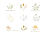 design a botanical logo