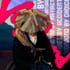 do high quality manga coloring
