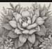 illustrate best botanical illustration