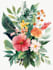 illustrate best botanical illustration