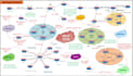 create network diagrams, hld, lld, data center, rack, and cloud architecture
