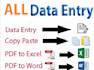 do copy paste, data entry and file conversion