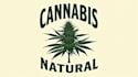 create beautiful cannabis leaf logo design