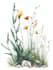 best botanical illustration art
