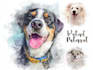 draw cute pet watercolor portrait illustration