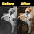 improve image quality, upscale, sharpen, and fix flaws