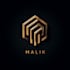 design custom ai logo art