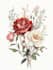 illustrate best botanical illustration