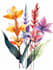 best botanical illustration art