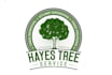 create awesome bonsai tree farm logo design