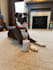 create high converting dog ugc video ads for your brand