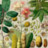 illustrate best botanical illustration