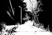 draw black and white illustrations