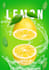 design a clean professional flyer
