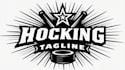 design outstanding hockey seal logo