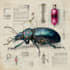 draw a scientific illustration