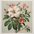 illustrate best botanical illustration