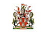 design a personalized family crest with heraldic elements