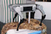 do 3d cad modeling for cnc machining and 3d printing