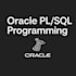 develop, fix or optimize your oracle database and pl sql procedures
