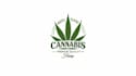 make eye catching hemp cannabis logo