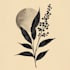 do boho hand drawn botanical minimalist logo design