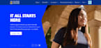 provide expert full stack dot net and angular developer