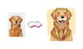 draw a cute cartoon pet portrait in a colorful illustration style