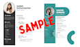 write or edit your CV, resume, cover letter with my team