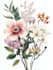 illustrate best botanical illustration