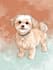 draw  pets portrait illustration in