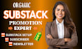 setup substack newsletter design, substack promotion, substack subscriber