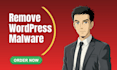 wordpress malware removal, bug fixing, clean hacked site with wordpress security