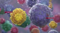 create 3d immunotherapy and cell therapy medical animation biotech moa
